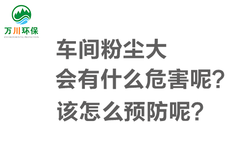 車間粉塵大會有什么危害呢？該怎么預(yù)防呢？